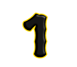 Quantity: 1